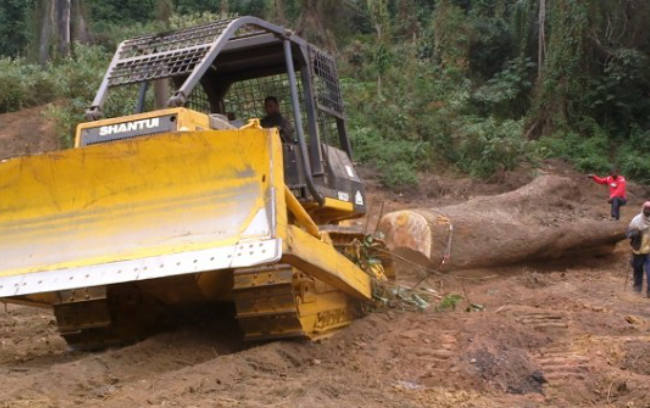 GA黄金甲·(中国集团)官方网站